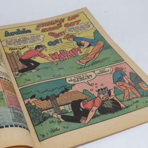 Archie Series Archie no 221