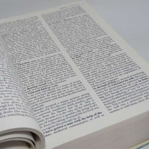 The New Layman`s Bible Commentary in one Volume 1979 Edition