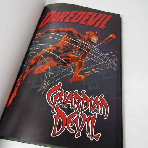 Marvel - Daredevil Guardian devil graphic novel #17