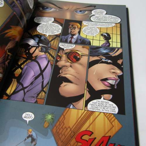 Marvel - Daredevil Guardian devil graphic novel #17