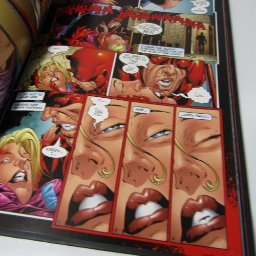 Marvel - Daredevil Guardian devil graphic novel #17