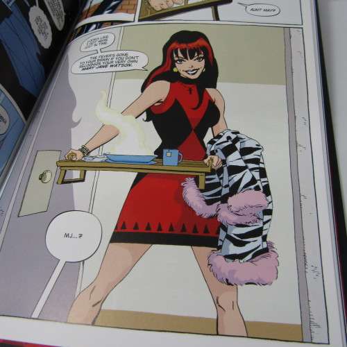 Marvel - Spider-Man Blue graphic novel #65