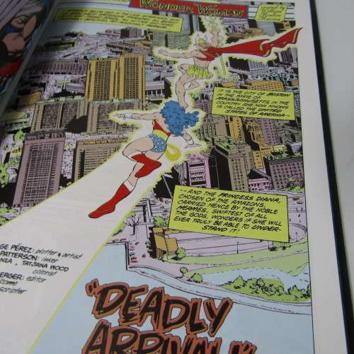 DC Comics - Wonder Woman, Gods and Mortals graphic novel