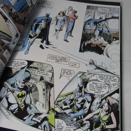 DC Comics - Batman: Birth of the Demon Part 1 - graphic novel