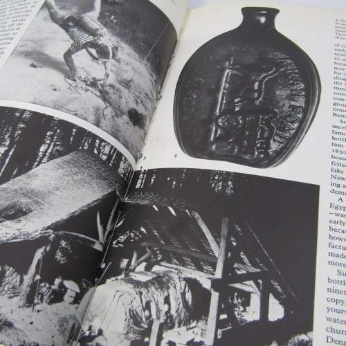 The book of bottle collecting by Doreen Beck