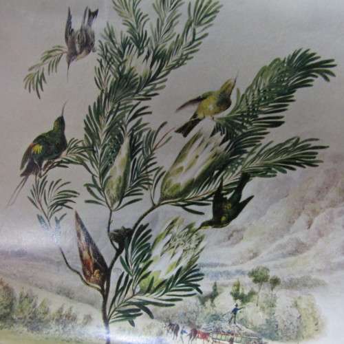 1966 Calendar by SA Permanent building society