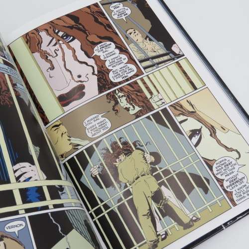 DC Comics Batman The long Halloween part 2 graphic novel