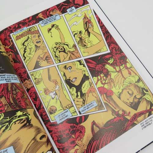 DC Comics Swamp Thing Part 2 graphic novel