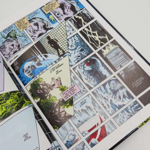 DC Comics Swamp Thing Part 1 graphic novel