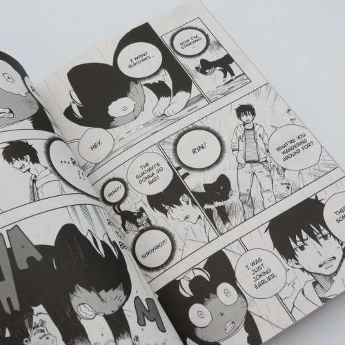 Blue Exorcist Kazve Kato Volume 6 - Manga Edition graphic novel