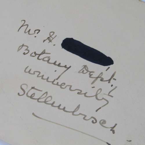 Great Brak River to Stellenbosch with two South African stamps and a Great Brak River 10 Feb 1934