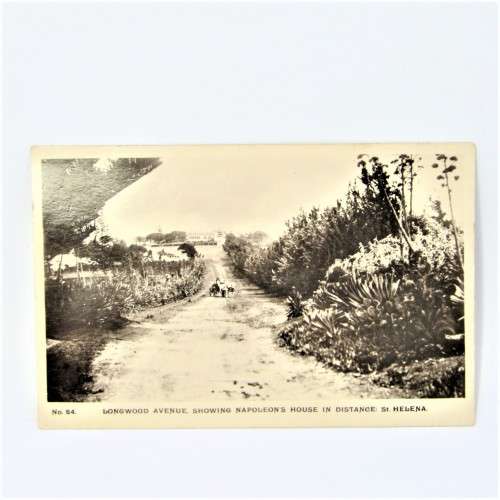 Longwood Avenue , St Helena Postcard - unused