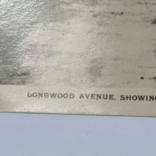 Longwood Avenue , St Helena Postcard - unused