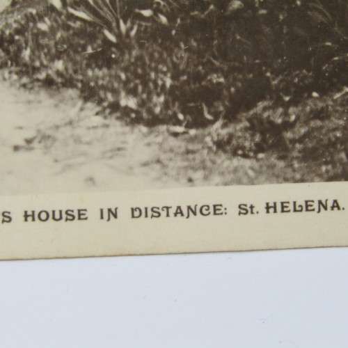 Longwood Avenue , St Helena Postcard - unused