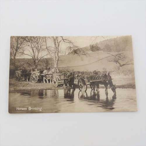 Antique postcard Horses Drinking - Unused