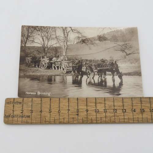 Antique postcard Horses Drinking - Unused