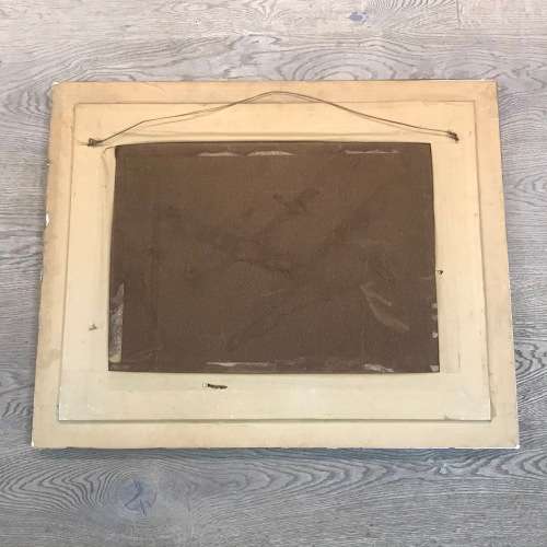 Dino Paravano still life proteas oil painting on board - frame 78,5 x 63cm and painting 59,5 x 44cm