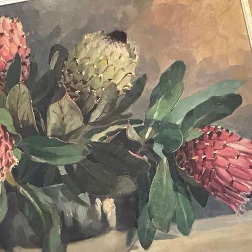 Dino Paravano still life proteas oil painting on board - frame 78,5 x 63cm and painting 59,5 x 44cm