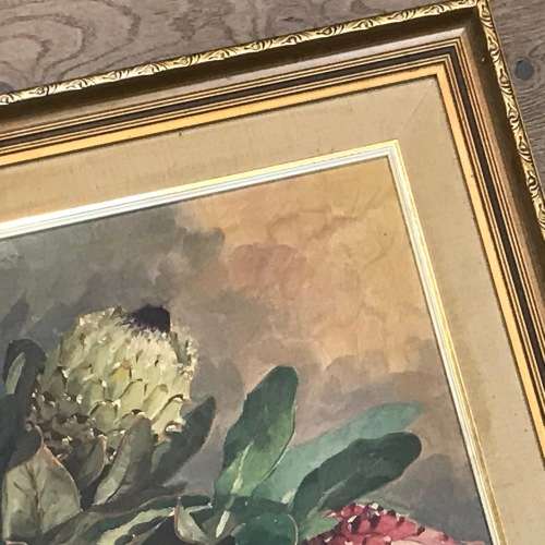 Dino Paravano still life proteas oil painting on board - frame 78,5 x 63cm and painting 59,5 x 44cm