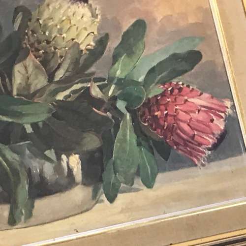 Dino Paravano still life proteas oil painting on board - frame 78,5 x 63cm and painting 59,5 x 44cm