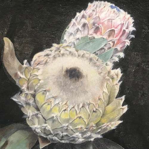 Eve Milne still life proteas oil painting - frame 55 x 74cm and painting 44,5 x 63cm