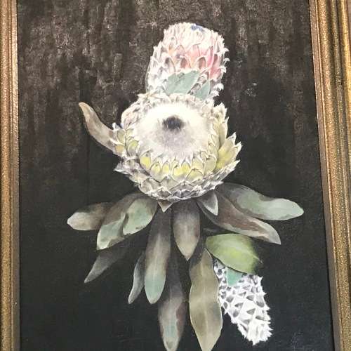 Eve Milne still life proteas oil painting - frame 55 x 74cm and painting 44,5 x 63cm