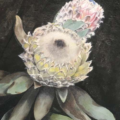 Eve Milne still life proteas oil painting - frame 55 x 74cm and painting 44,5 x 63cm