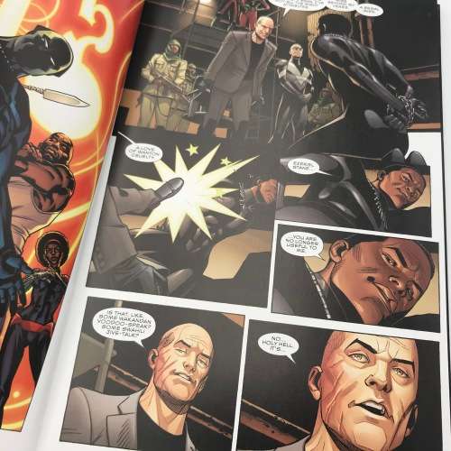 Marvel #131 - Black Panther, A Nation under our feet part 2 graphic novel