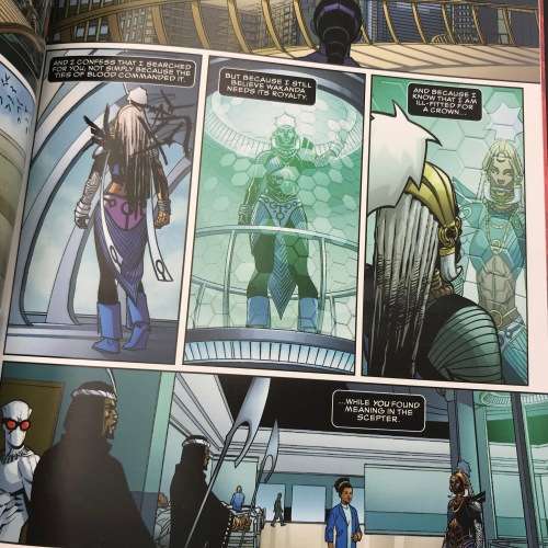 Marvel #131 - Black Panther, A Nation under our feet part 2 graphic novel