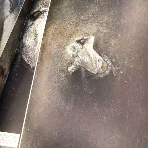 DC CComics Batman - The man who laughs and Arkham Asylum graphic novel