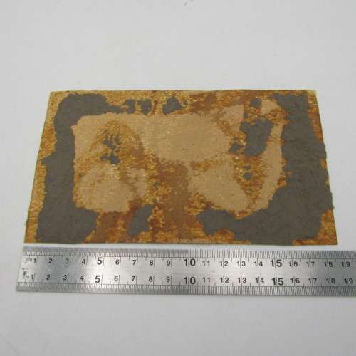 Original 1917 World War 1 photo of Medical Officer in attire