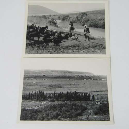 Lot of 12 Palestine photos - Mount Carmel Heifa
