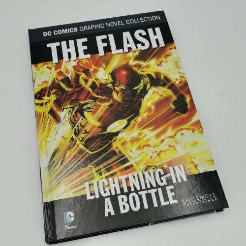 DC Comics The Flash Lightning in a bottle graphic novel