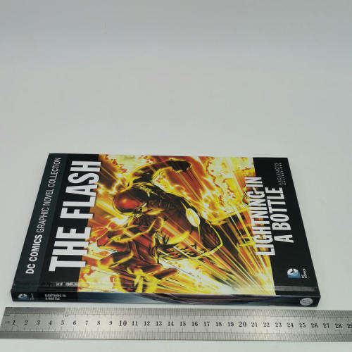 DC Comics The Flash Lightning in a bottle graphic novel
