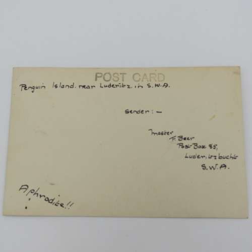 Postcards of penguins - Penguin Island near Luderitz