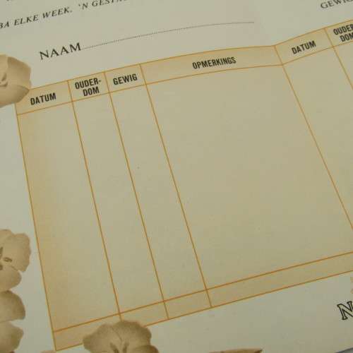 Nestle - Opgawe van Baba se ontwikkeling