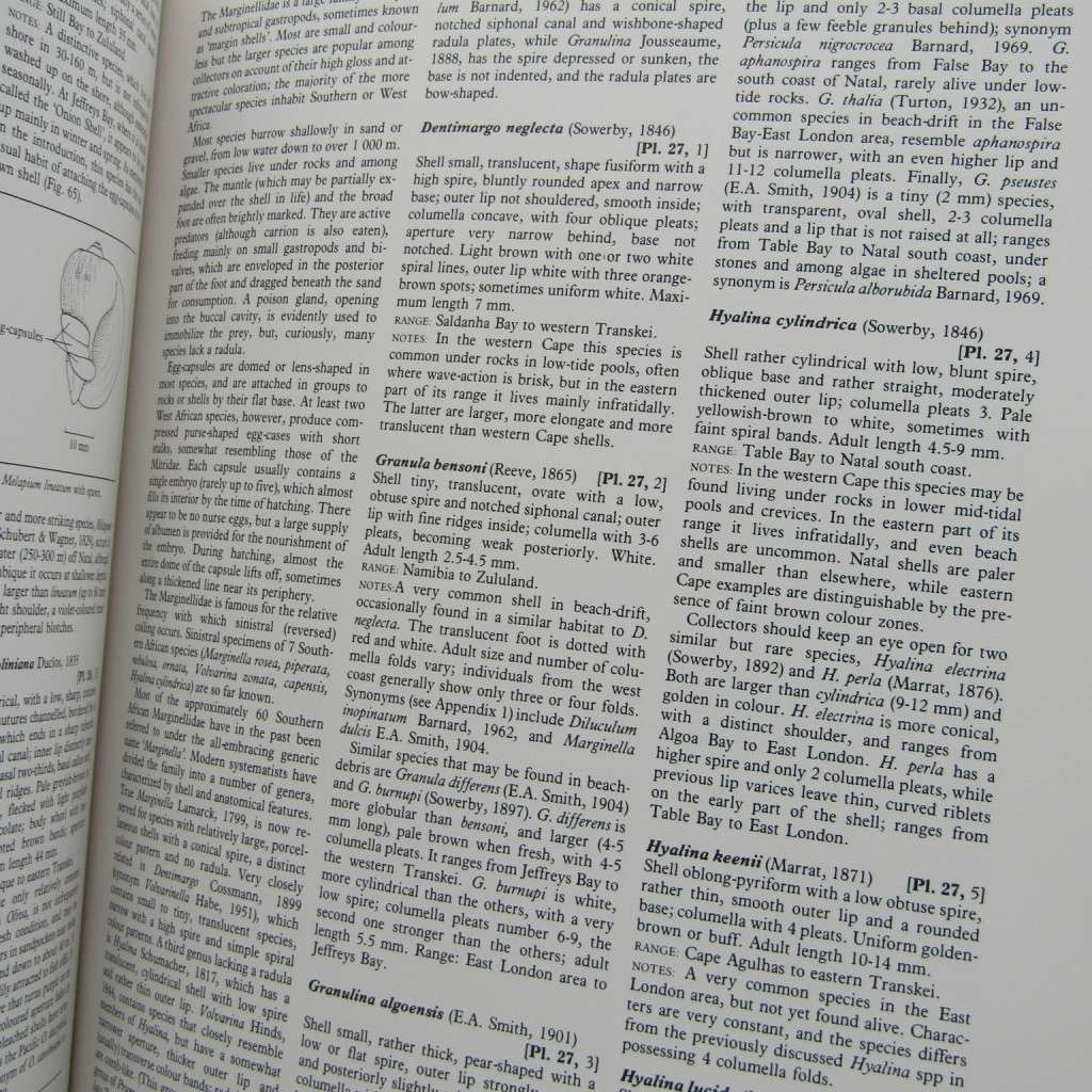 Sea Shells of Southern Africa by Richard Kilburn and Elizabeth Rippey