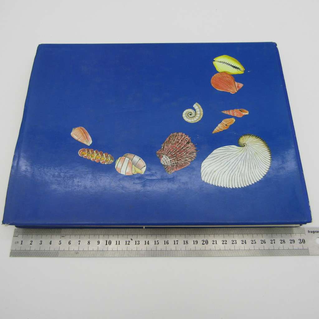 Sea Shells of Southern Africa by Richard Kilburn and Elizabeth Rippey