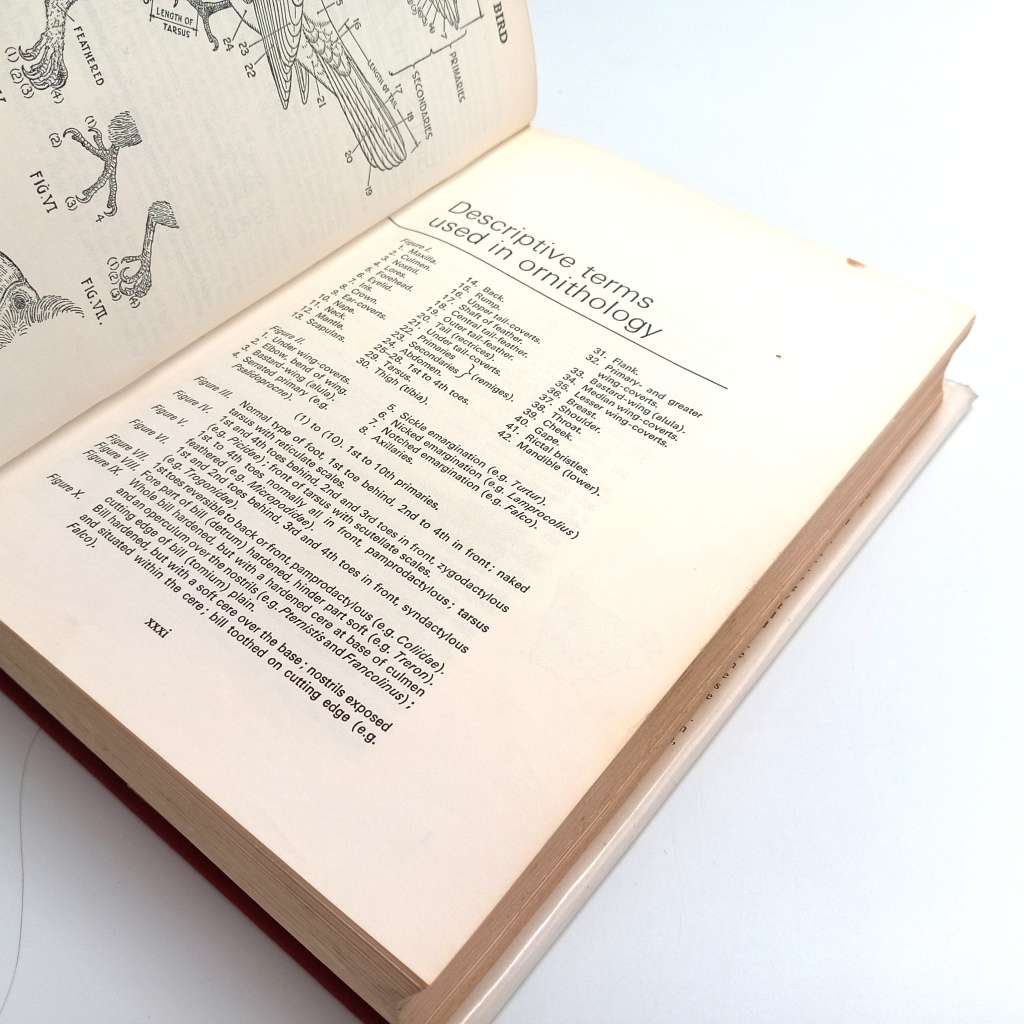 Roberts Birds of South Africa - McLachlan