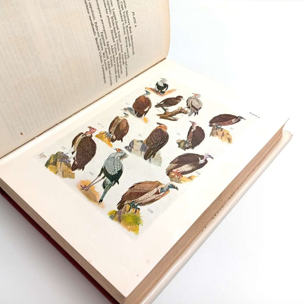 Roberts Birds of South Africa - McLachlan