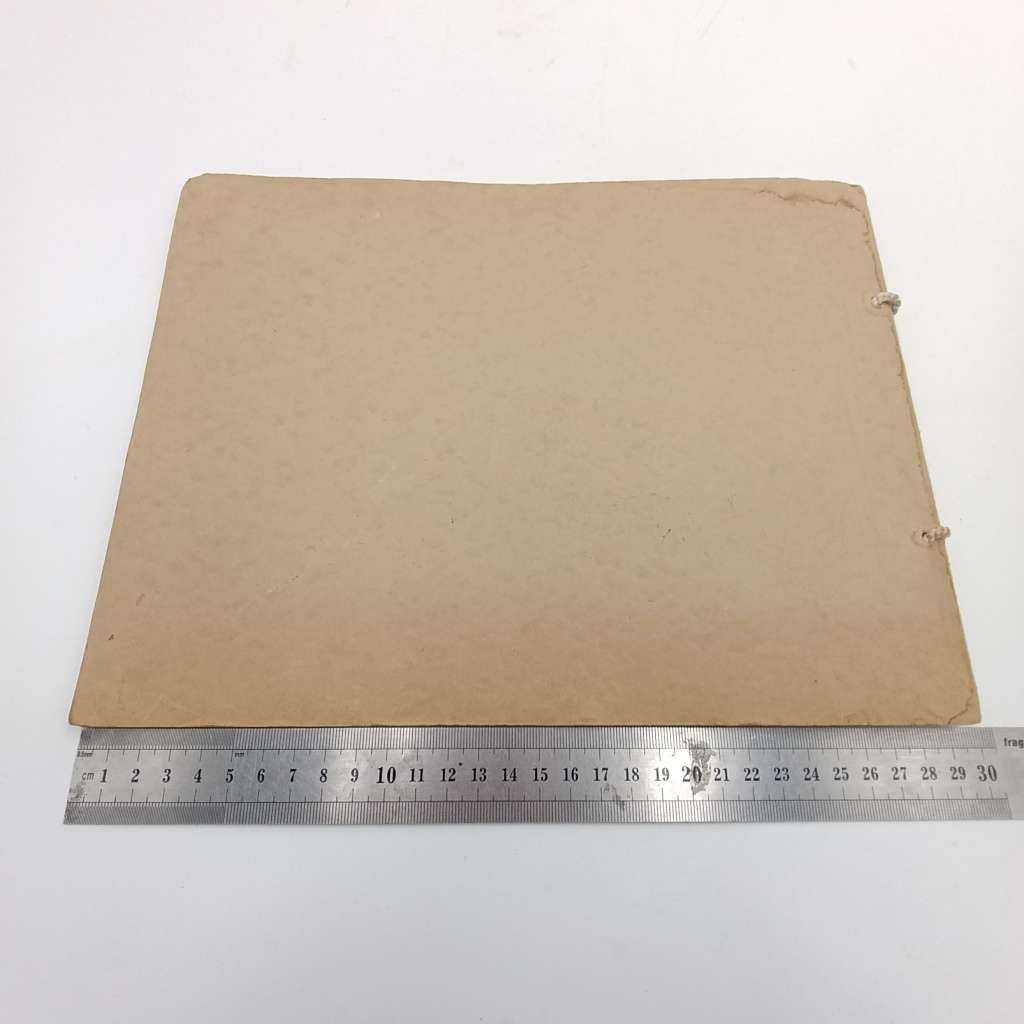 Souvenir of The Victoria Falls by Victor Clark