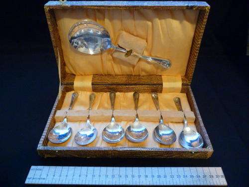 Pudding Spoon Set - EPNS