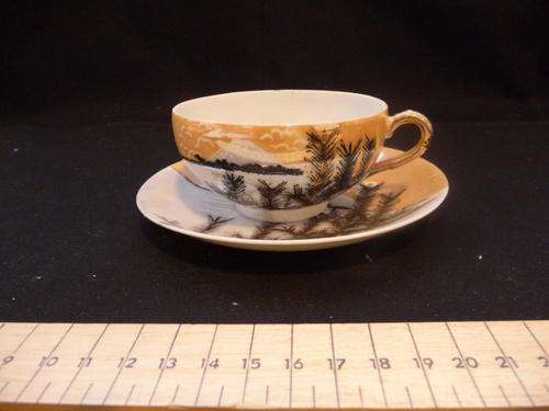 Hand Painted - Cup and saucer - Made in Japan