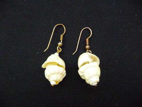 Pair of Lovely Shell Earrings @@@ Crazy R1 Start