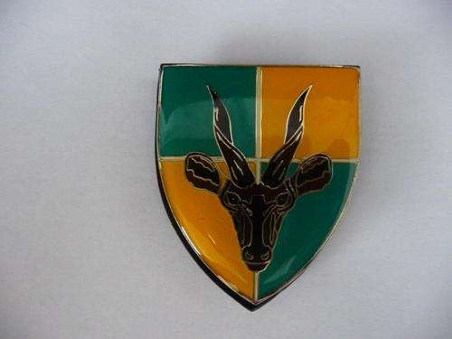 SADF Flash Badge Infantry