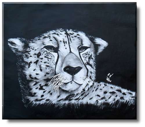 Beautiful Cheetah By Melanie Van Der Merwe