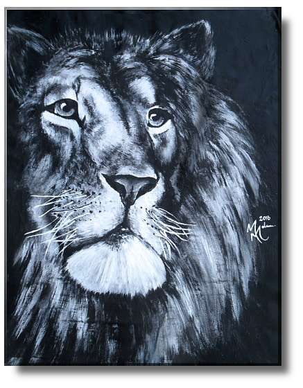 Beautiful Lion By Melanie Van Der Merwe