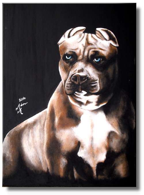 Beautiful pit bull painting