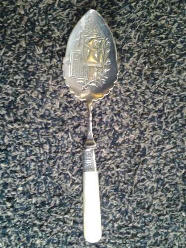 Mother Of Pearl Jam Spoon