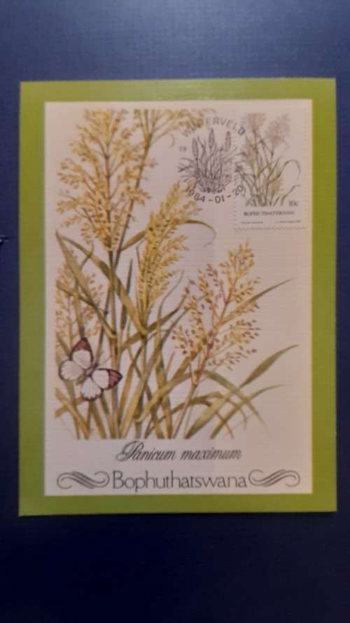 BOPHUTHATSWANA 1984 INDIGENOUS GRASSES